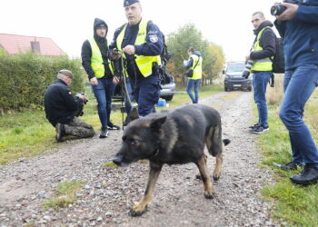 26.10.2022. Wzdół Parcele. Ćwiczenia obronne pod kryptonimem „Zamek 22” / Fot. Wiktor Taszłow - Radio Kielce