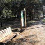 27.10.2022. Cedzyna. Zalew / Fot. Wiktor Taszłow - Radio Kielce