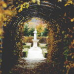 Ostatnia szansa, by odwiedzić ogród botaniczny w tym sezonie