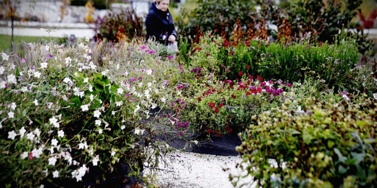 22.10.2022 Kielce. Ogród botaniczny. Jesień/ Fot. Jarosław Kubalski - Radio Kielce
