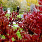 22.10.2022 Kielce. Ogród botaniczny. Jesień/ Fot. Jarosław Kubalski - Radio Kielce