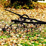 Fot. Jarosław Kubalski - Radio Kielce