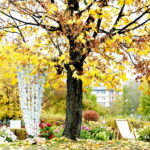 22.10.2022 Kielce. Ogród botaniczny. Jesień/ Fot. Jarosław Kubalski - Radio Kielce