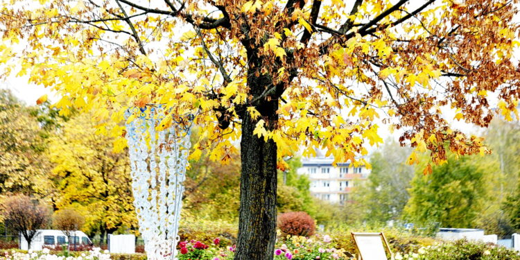 22.10.2022 Kielce. Ogród botaniczny. Jesień/ Fot. Jarosław Kubalski - Radio Kielce