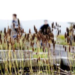 22.10.2022 Kielce. Ogród botaniczny. Jesień/ Fot. Jarosław Kubalski - Radio Kielce