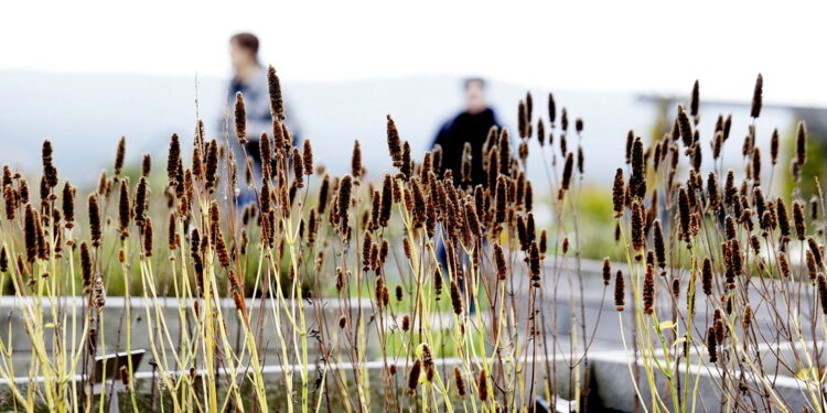 22.10.2022 Kielce. Ogród botaniczny. Jesień/ Fot. Jarosław Kubalski - Radio Kielce