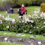 22.10.2022 Kielce. Ogród botaniczny. Jesień/ Fot. Jarosław Kubalski - Radio Kielce