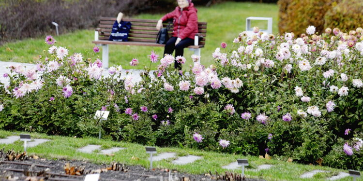 22.10.2022 Kielce. Ogród botaniczny. Jesień/ Fot. Jarosław Kubalski - Radio Kielce