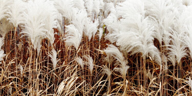 22.10.2022 Kielce. Ogród botaniczny. Jesień/ Fot. Jarosław Kubalski - Radio Kielce