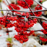Fot. Jarosław Kubalski - Radio Kielce