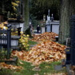 23.10.2022. Kielce. Sprzątanie na cmentarzach przed dniem Wszystkich Świętych / Fot. Jarosław Kubalski - Radio Kielce