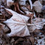 Zaczynają się mroźne noce. Synoptycy apelują do kierowców [PROGNOZA POGODY]