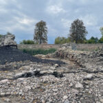 Ćmielów. Ruiny zamku Szydłowieckich na wyspie / Fot. Emilia Sitarska – Radio Kielce