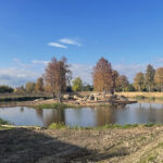 Ćmielów. Ruiny zamku Szydłowieckich na wyspie / Fot. Emilia Sitarska – Radio Kielce