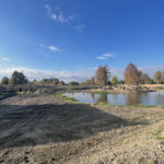 Ćmielów. Ruiny zamku Szydłowieckich na wyspie / Fot. Emilia Sitarska – Radio Kielce