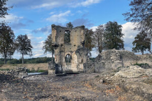 Ćmielów. Ruiny zamku Szydłowieckich na wyspie / Fot. Emilia Sitarska – Radio Kielce