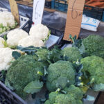 Na miejskim placu targowym w Kielcach dorodna główka brokułu kosztuje teraz 6 zł / Fot. Marzena Smoręda - Radio Kielce