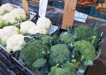 Zielona zupa na jesień i zimę - Radio Kielce Na miejskim placu targowym w Kielcach dorodna główka brokułu kosztuje teraz 6 zł / Fot. Marzena Smoręda - Radio Kielce