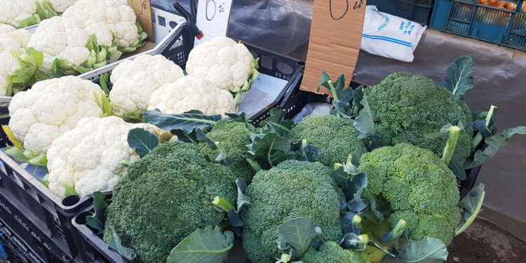 Na miejskim placu targowym w Kielcach dorodna główka brokułu kosztuje teraz 6 zł / Fot. Marzena Smoręda - Radio Kielce