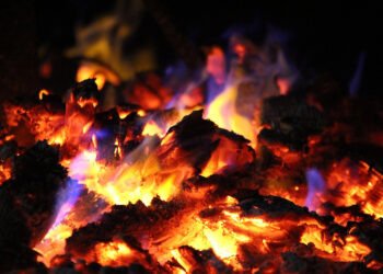 W tym tygodniu PGG rozpocznie sprzedaż miałów energetycznych dla rolników - Radio Kielce