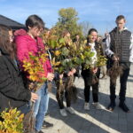 17.10.2022. Opatów. Akcja jesiennego sadzenia drzew. / Fot. Emilia Sitarska - Radio Kielce