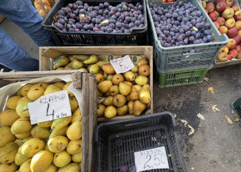 Ceny warzyw i owoców w Ostrowcu Świętokrzyskim (12.10.2022) - Radio Kielce