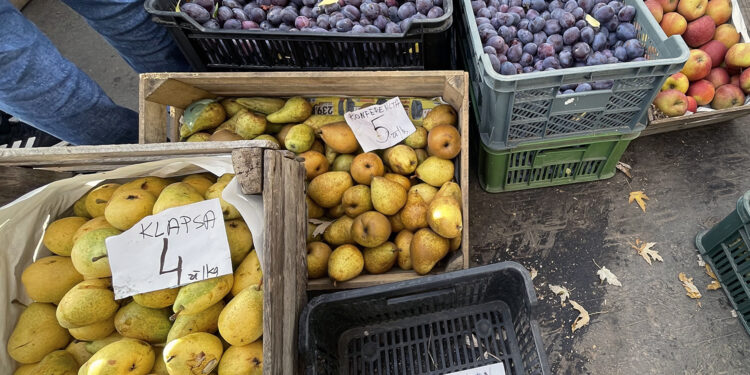 Ceny warzyw i owoców w Ostrowcu Świętokrzyskim (12.10.2022) - Radio Kielce