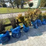 17.10.2022. Opatów. Akcja jesiennego sadzenia drzew. / Fot. Emilia Sitarska - Radio Kielce