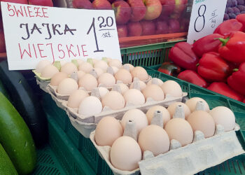 Drożej za jajka w… Światowym Dniu Jaja - Radio Kielce