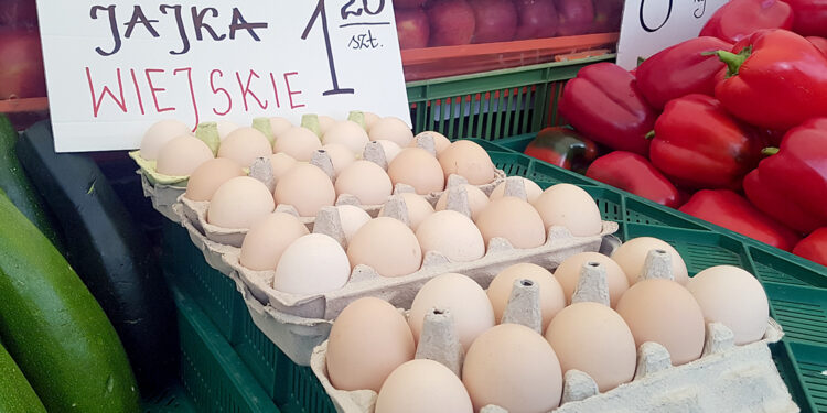 Drożej za jajka w… Światowym Dniu Jaja - Radio Kielce