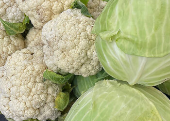 Fot. Emilia Sitarska - Radio Kielce