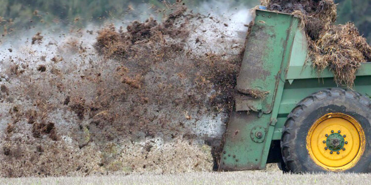 Dopłata za szybkie wymieszanie obornika i gnojowicy z glebą - Radio Kielce