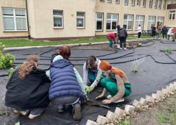 Starachowice. Ogród społecznościowy / źródło: UM Starachowice