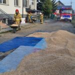 15.11.2022. Węgrzynów. Pożar / Fot. Straż Pożarna Jędrzejów