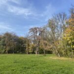 13.11.2022. Ruszcza. Dworek w Ruszczy i jego okolica / Fot. Grażyna Szlęzak - Radio Kielce