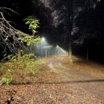 14.11.2022. Kielce. Stadion. Latarnie wzdłuż głównej trasy turystycznej / Fot. Marek Orkisz - Radio Kielce