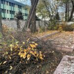 05.11.2022. Sandomierz. Prace w wojskowej części cmentarza katedralnego / Fot. Grażyna Szlęzak - Radio Kielce