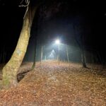 14.11.2022. Kielce. Stadion. Latarnie wzdłuż głównej trasy turystycznej / Fot. Marek Orkisz - Radio Kielce