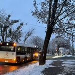 25.11.2022. Sandomierz. Drzewa przeznaczone do wycinki przy ul. Koseły / Fot. Grażyna Szlęzak - Radio Kielce