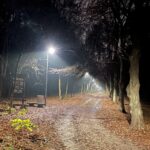 14.11.2022. Kielce. Stadion. Latarnie wzdłuż głównej trasy turystycznej / Fot. Marek Orkisz - Radio Kielce