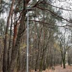 14.11.2022. Kielce. Stadion. Latarnie wzdłuż głównej trasy turystycznej / Fot. Marek Orkisz - Radio Kielce