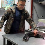 20.11.2022, Karsznice. Na zdjęciu: Wojciech Sędek - właściciel gospodarstwa rybackiego Biała Nida / Fot. Kamil Król - Radio Kielce