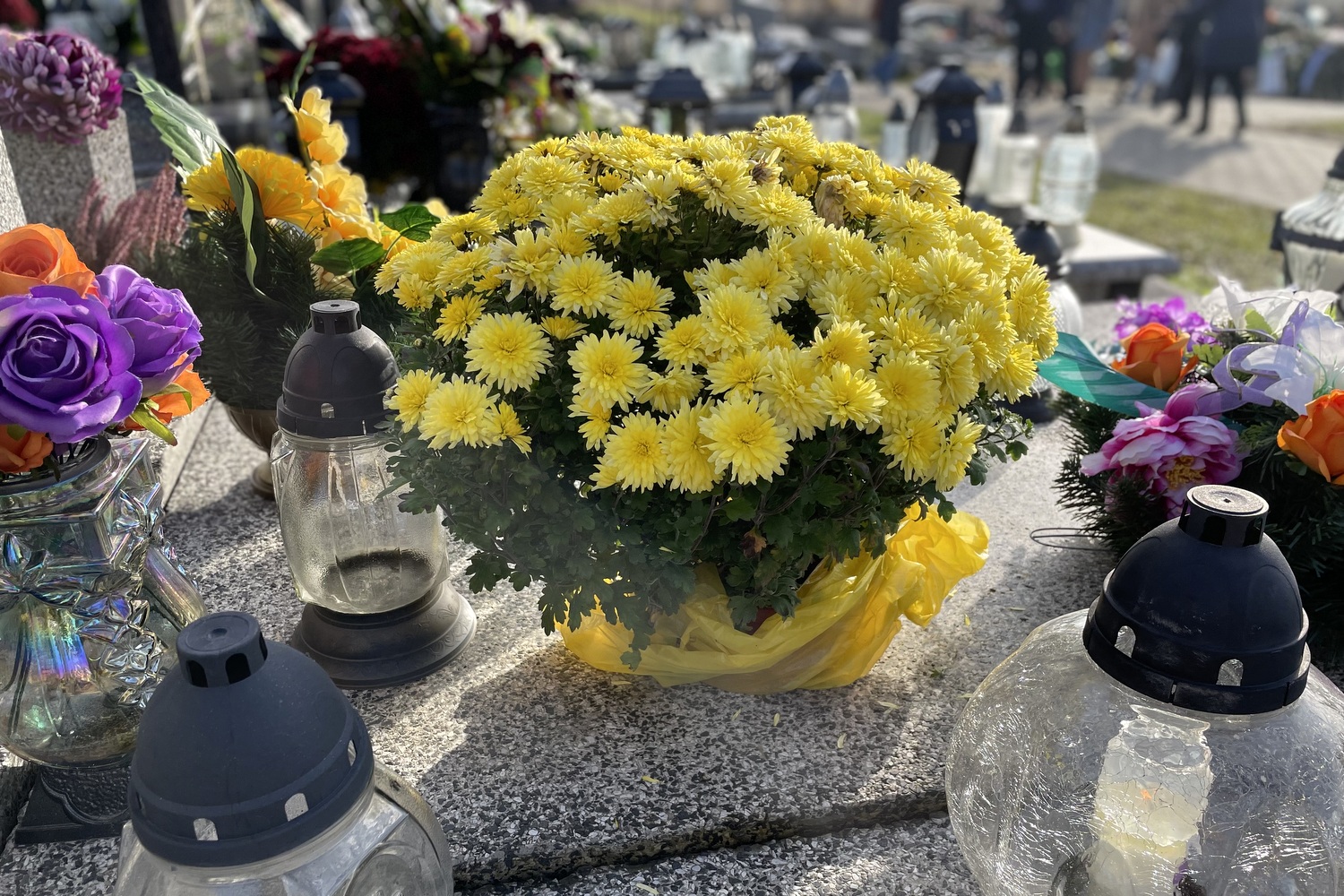 Coraz częściej na cmentarz wybieramy żywe kwiaty - Radio Kielce