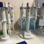 10.11.2022. Podzamcze. Publiczny Bank Komórek Macierzystych, funkcjonujący przy Regionalnym Centrum Naukowo–Technologicznym / Fot. Iwona Murawska - Radio Kielce