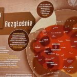 06.11.2022. Kielce. Wystawa „Na fali… Historia radia w II Rzeczypospolitej” / Fot Dariusz Skrzyniarz