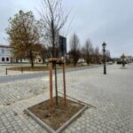 14.11.2022. Opatów. Rynek po rewitalizacji / Fot. Emilia Sitarska - Radio Kielce