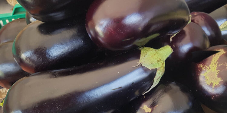 Bakłażan – warzywo cenne dla zdrowia - Radio Kielce Bakłażan – warzywo cenne dla zdrowia - Radio Kielce