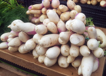 Biała rzepa – jesienna bomba witaminowa - Radio Kielce