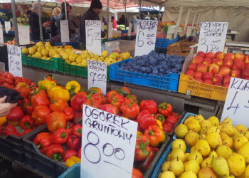 4.11.2022. Kielce. Miejski Plac Targowy / Fot. Marzena Smoręda – Radio Kielce