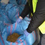 Fot. Policja Świętokrzyska